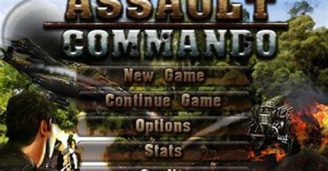 Image result for Commando Assault