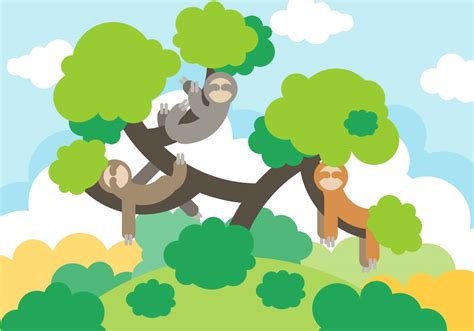 Image result for Sloth Cartoon