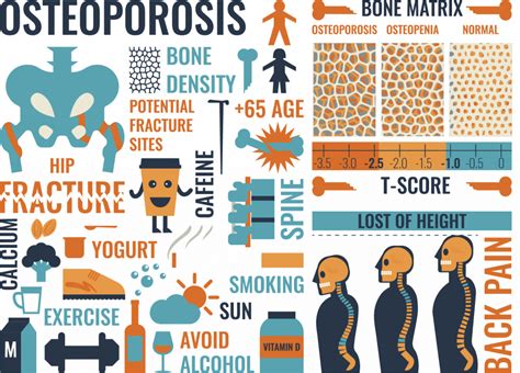Image result for What Is Bone Density
