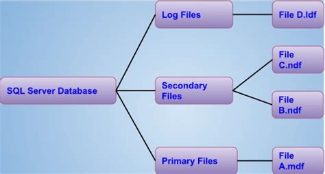 Image result for Microsoft SQL Data Base Structure