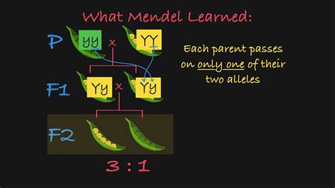 How to Get F2 Generation に対する画像結果