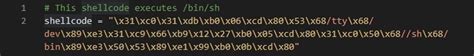 Image result for Shell Coding