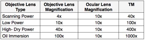 Total Magnification of Microscope に対する画像結果