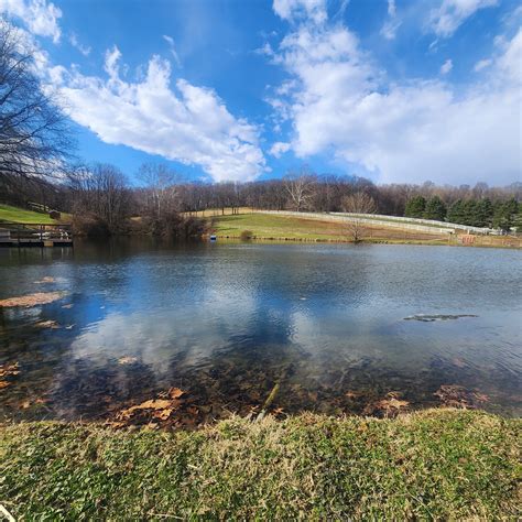 Image result for Facebook Loading Interface Image