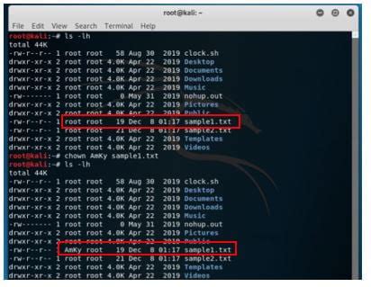 Image result for Kali Linux Terminal Commands