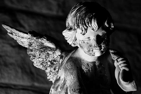 Angel Multiple Eyes に対する画像結果