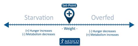 Image result for 10 Examples of Set Point