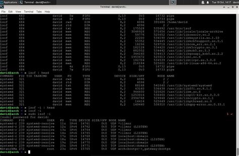Lsof に対する画像結果