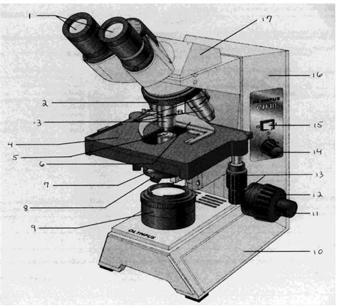 Image result for Compound Microscope Construction