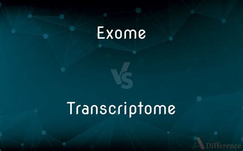 Image result for Genome vs Transcriptome