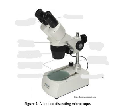 Objects Dissecting Microscope に対する画像結果