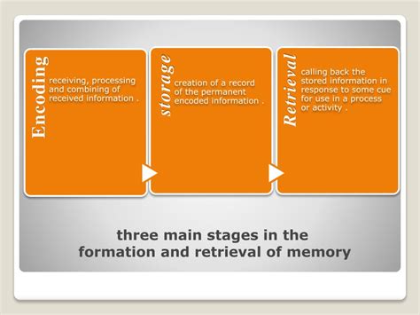 Image result for Human Memory and Computer Memory