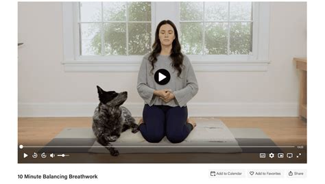 Image result for Yoga with Adriene Home Day 2