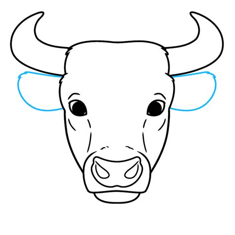 تصویر کا نتیجہ برائے Simple Bull Drawing