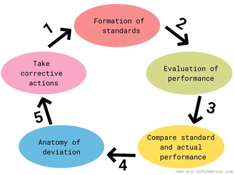 Image result for Processes Associated with Output Control