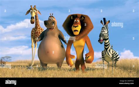 Image result for Melman in Madagascar
