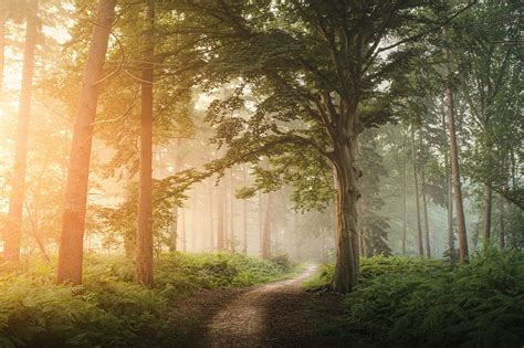 Toradh íomhá ar Simple 2D Game Easy for Python