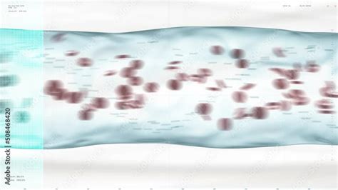 Afbeeldingsresultaten voor 4 Types of Scanner