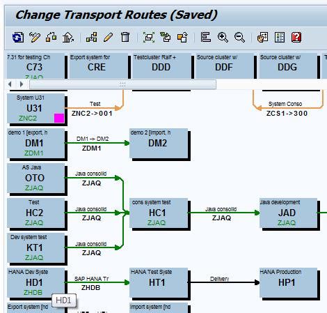 Image result for Multitrack SAP Transport Path