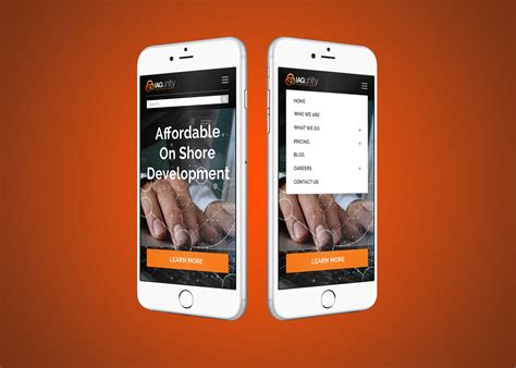 Image result for Web Client Software