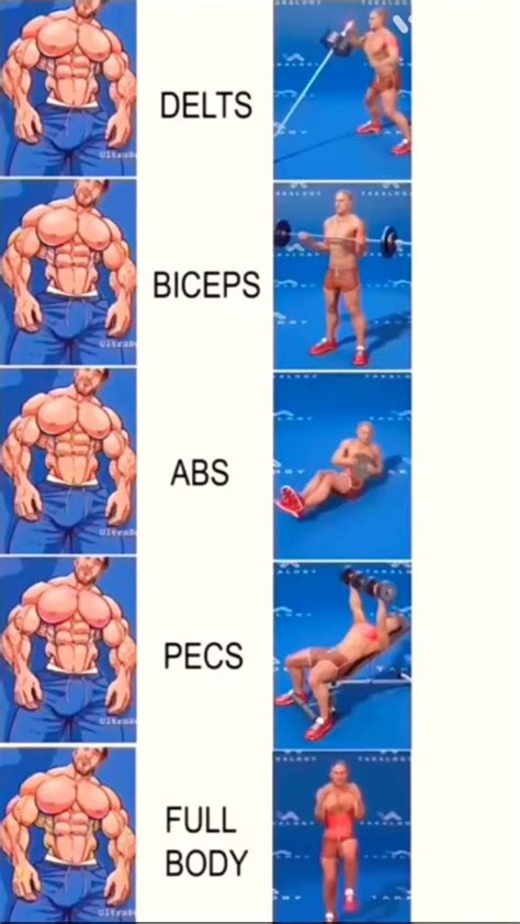 Chest and Sholders に対する画像結果