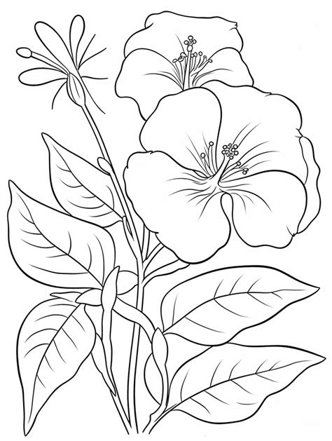 Image result for Realistic Flower Coloring Pages Printable