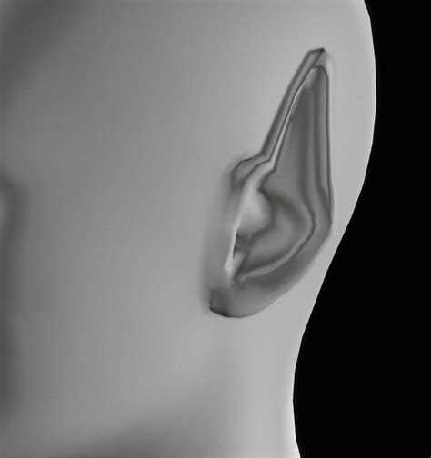 Image result for Ear Wamon 2D
