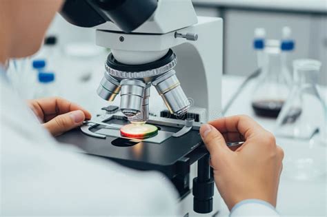 Image result for High Power On Microscope Slide