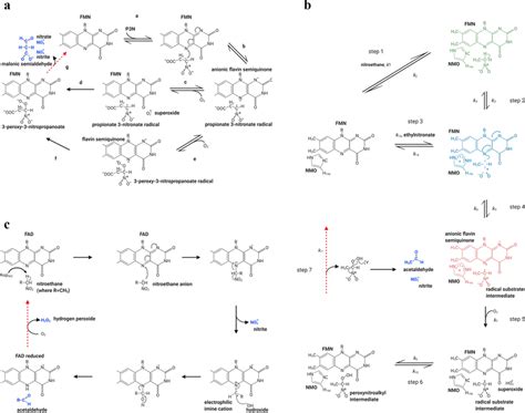 Image result for Nitromethane Nitroethane Nitropropane