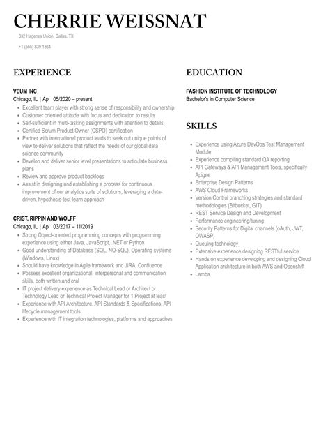Image result for REST API Resume Sample