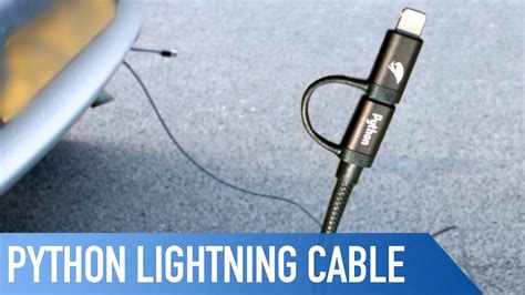 Image result for Python Lightning Cable