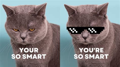 Afbeeldingsresultaten voor Meme Creator Free