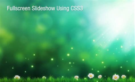 Image result for Join Slideshow IMG CSS