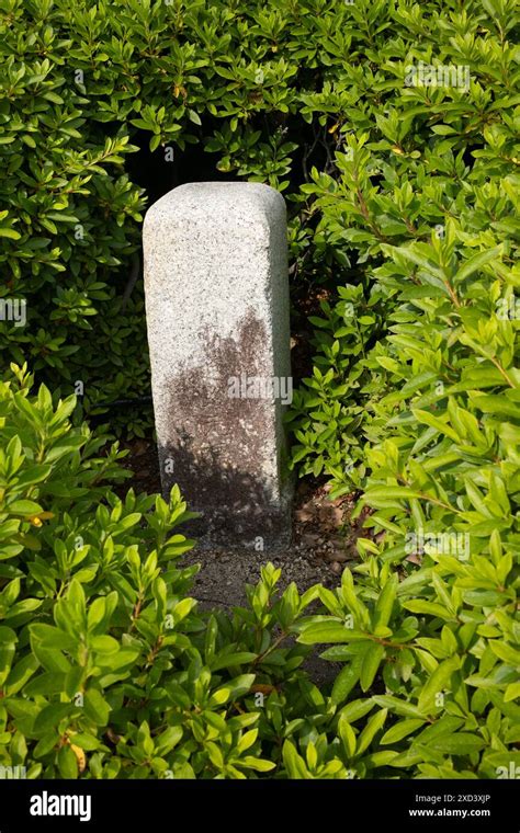 Image result for Zero Milestone Vector