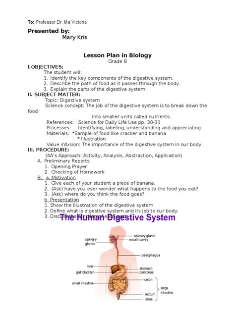 Image result for Digestive System Lesson Plan 6
