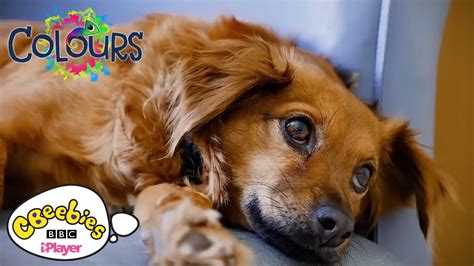 Image result for CBeebies Colours