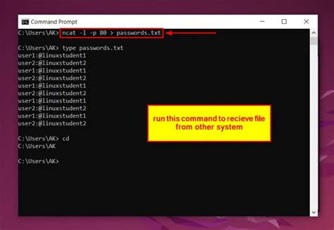 Send IP Netcat માટે ઇમેજ પરિણામ