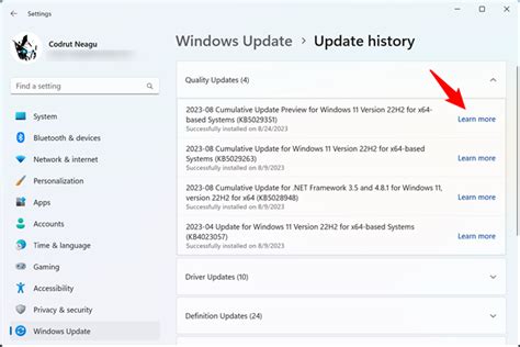 Image result for Windows Update Windows 11