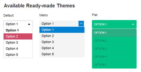 Image result for HTML Option Styling