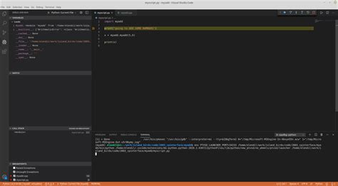 Image result for Python Run Debugger