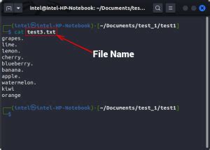 Image result for Create Cat File