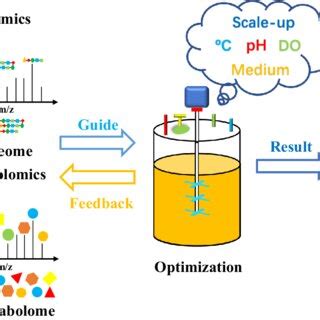 Microbial Process Optimization に対する画像結果