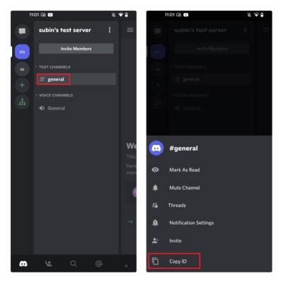 Image result for Discord Enable Developer Mode