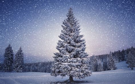 🔥 [50+] Snowy Christmas Scenes Wallpapers | WallpaperSafari