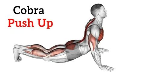 Image result for Protraction Push-Up