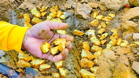 Image result for Natural Gold Dig