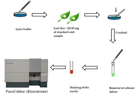 Flow Cytometry Sample Acquisition に対する画像結果