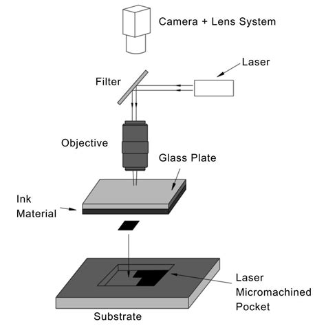 Image result for Microscope with Three Objective Lens Diagram