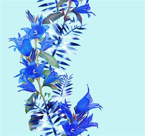 Toradh íomhá ar Bell Flower Drawing