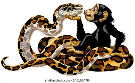 Afbeeldingsresultaten voor Treasure Python Cartoon